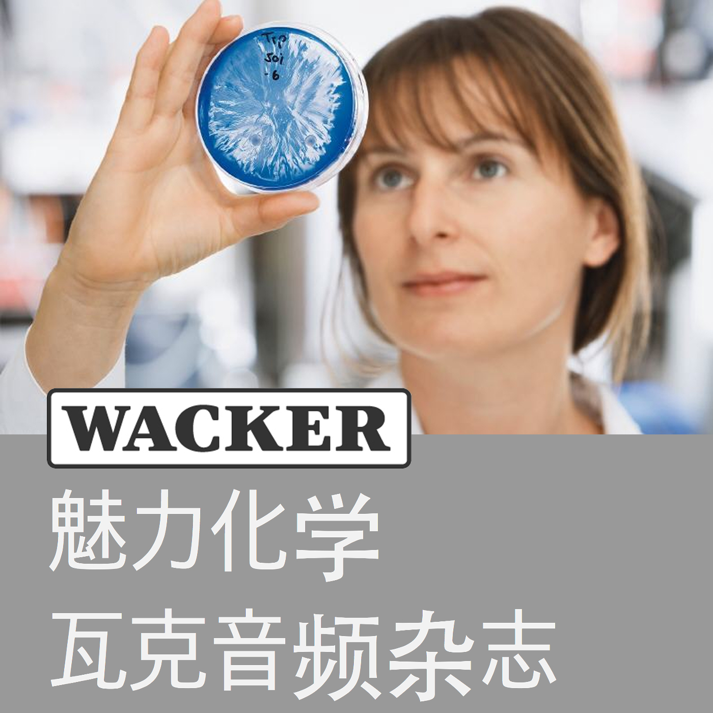 魅力化学 — 瓦克音频杂志 (Wacker Chemie AG)